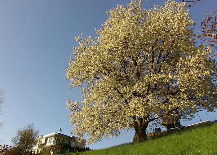 Architektenhaus - Pool - Fernsicht 公寓 兰纳赫